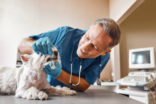 Best Emergency Tooth Extraction in Edmundson, MO